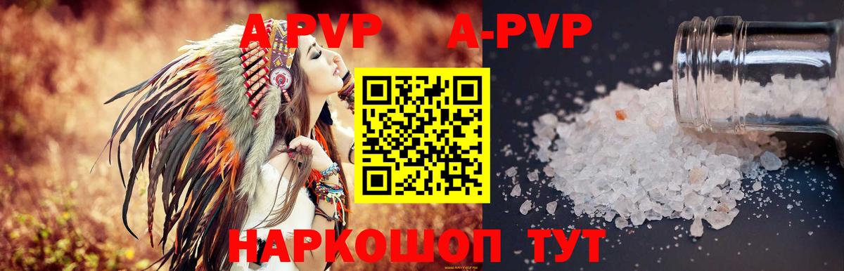 A PVP СК КРИС Кызыл