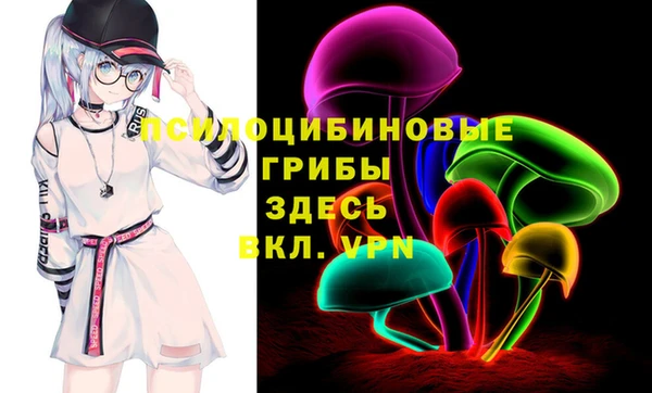 шишки Алексин