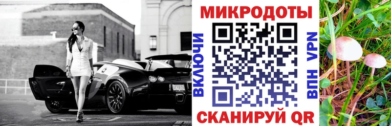 Псилоцибиновые грибы Psilocybe  Кызыл 