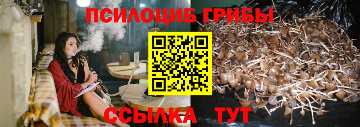Галлюциногенные грибы ЛСД  Вход с VPN  Галлюциногенные грибы мицелий  Кызыл 